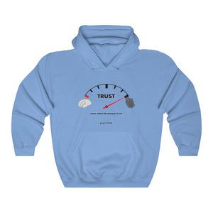 Trust Hoodie